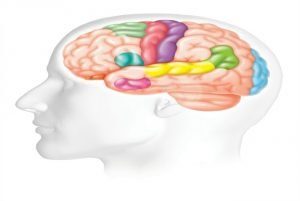 Brain Drain How Can You Overcome Mental Fatigue
