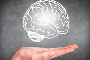 Brain Health And Why You Need Gym For The Brain