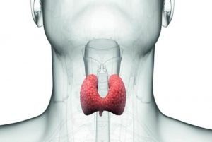 Hypothyroidism Could Yours Be The Undetected Milder Version
