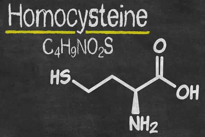 Homocysteine Heres why keeping your levels low is important