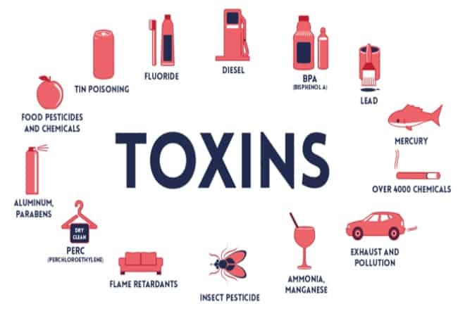 Environmental Toxins: You can fight back, here's what to do?
