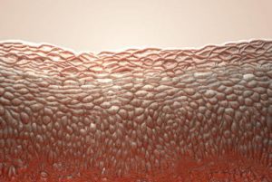 Why Protecting Your Basement Membrane Blocks Melasma